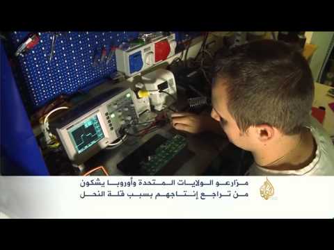 شاهد جهاز جديد لمراقبة خلايا النحل ودراستها