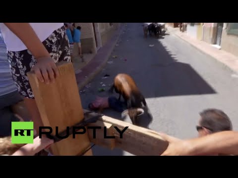 شاهد اثنان يشوهان أثناء فعالية الثيران الراكضة