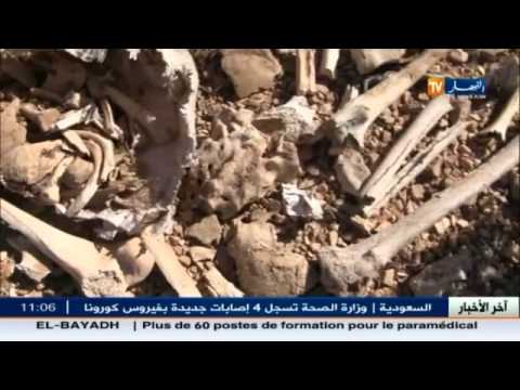 شاهد جماجم وبقايا هياكل عظمية في ولاية تبسة