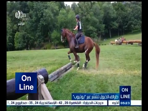 شاهد  حصان يتخطى الحواجز بطريقته الخاصة