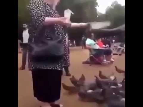 خليجي يصف أجنبية بـالعجوز ليتفاجأ بأنها عربية