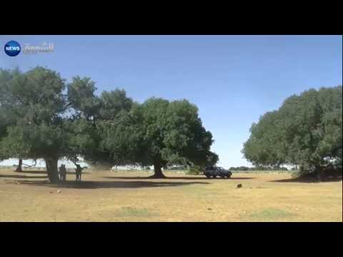 بالفيديو سد بريزينة وجهة للترفيه لأبناء المنطقة في ولاية البيض