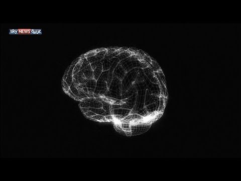 شاهد تطوير دماغ بشري كامل في المختبر باستخدام التكنولوجيا