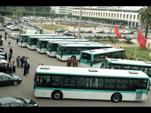 شاهد  50 حافلة عرضة للصدأ بقيمة 7 مليارات في البيضاء