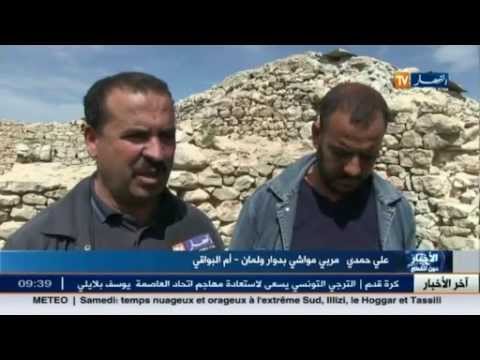 شاهد أمراض حيوانية في ظل قلة المنابع المائية في أم البواقي