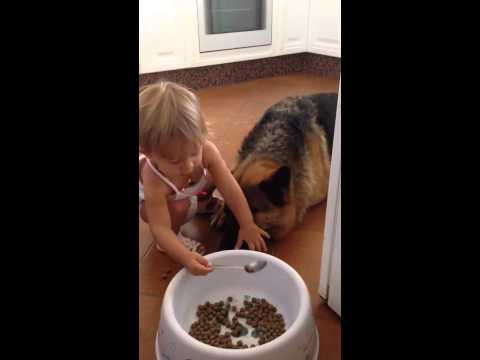 طفلة تصر على إطعام كلبها بالملعقة