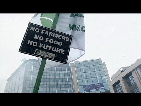 حزمة مساعدات مقدمة للمزارعين الأوروبيين لحل مشاكلهم