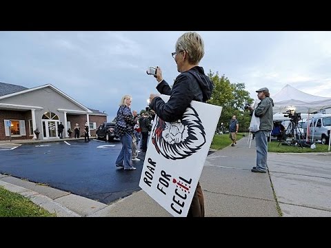 شاهد قاتل الأسد سيسيل في زيمبابوي يعود إلى عمله