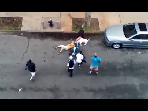 شاهد أشد عقاب من كلبان لرجل