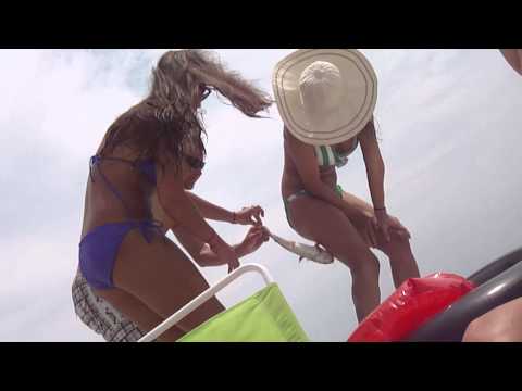 شاهد أميركية تلعب بقرموط نافق فيلتصق في ساقها