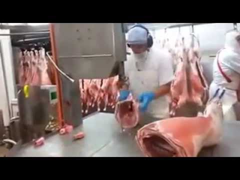 أسرع طريقة لتقطيع لحوم الأضاحي