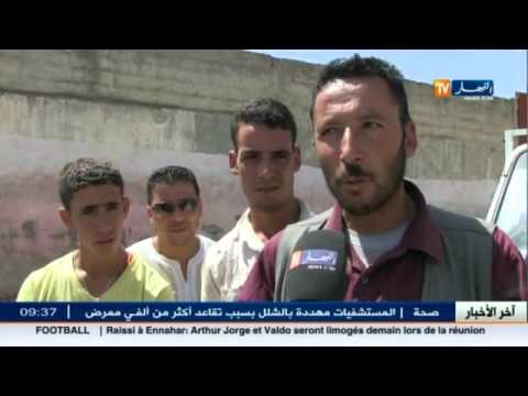 عمليات تلقيح الأبقار مستمرة في ولاية أم البواقي تفاديًا للأمراض