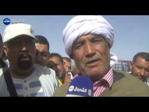 شاهد أسواق الماشية في سكرة تحت المراقبة المشددة