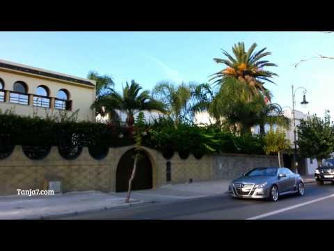 شاهد الملك محمد السادس يزور سوق البقر في طنجة