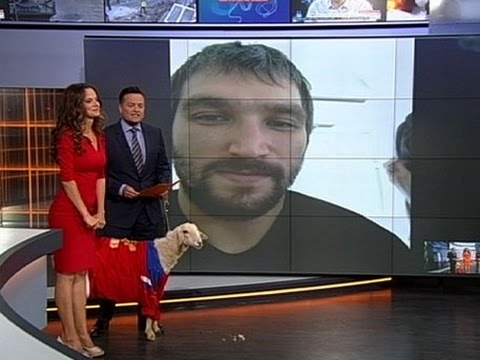 شاهد قناة روسية تهدي لاعب هوكي خروفًا هدية