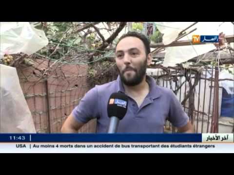 شاهد الأحياء الشعبية نكهة فريدة لعيد الأضحى