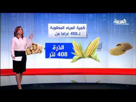 البرجر النباتي واللحوم البديلة تزحف للأسواق العالمية