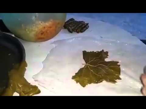 أسهل طريقة احترافية لعمل “محشى” ورق العنب