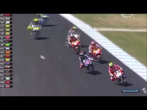 شاهد نهاية درامية لطائر نورس وقف على مضمار سباق