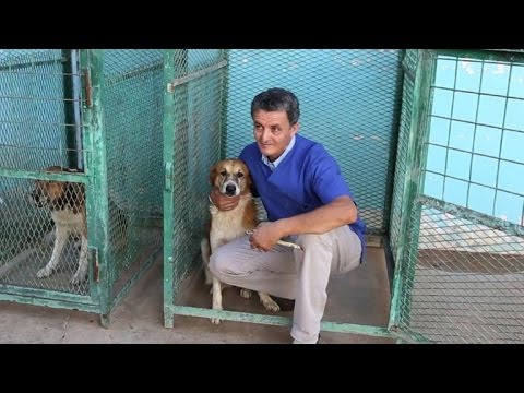 شاهد طبيب بيطري أنقذ حيوانات طرابلس الأليفة في خضم الثورة