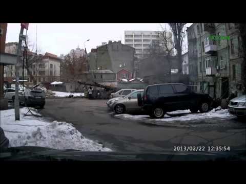 شاهد شجرة عملاقة تعطي سيدة أوكرانية فرصة ثانية للحياة