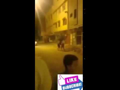 شاهد فتاة تنتقم من جارتها في الشارع