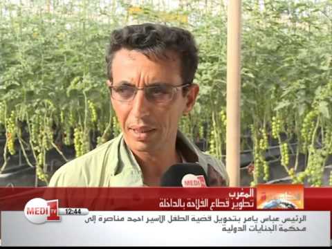 شاهد قطاع الفلاحة في مدينة الداخلة