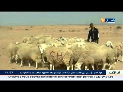 وزير الزرعة يؤكد أن تطوير المستثمرات هو الحل