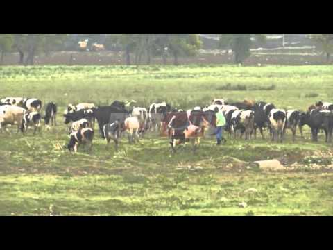 الفلاحون يشتكون نقص الدعم الفلاحي في ولاية قسنطينة