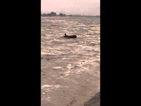 شاهد متهور يسبح وسط السيول في السعودية