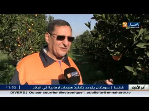 تخوفات من ارتفاع أسعار المازوت وانعكاساتها على تكاليف الإنتاج