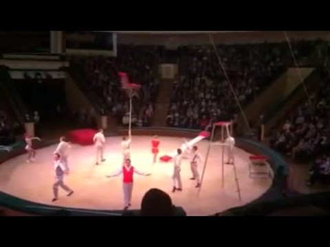 شاهد بالفيديو سقوط لاعبة سيرك أثناء العرض