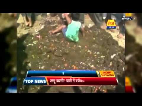 شاهد تلطيخ الأطفال بفضلات الأبقار لجلب الحظ والصحة