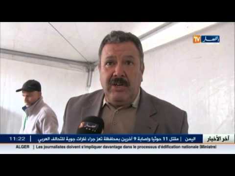 بالفيديو سعر العسل سيصل أرقامًا قياسية