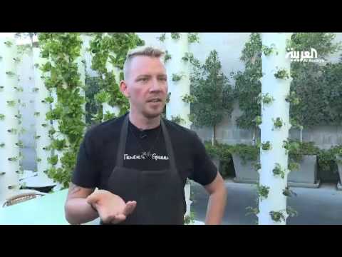 شاهد مطعم يتيح للزبائن قطف الخضراوات