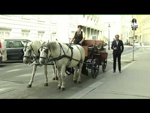 تميز فيينا بفن صناعة المعجّنات