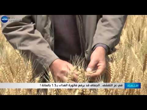 الجفاف يرفع فاتورة الغذاء إلى 15 