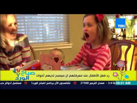 بالفيديو ردود فعل مختلفة للأطفال عند معرفتهم أن لديهم أخوات