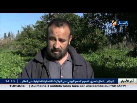 شاهد أزمة الجفاف تتواصل في انتظار الغيث