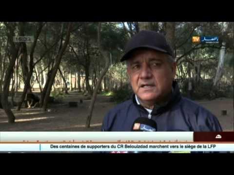 فيديو تعرف على آخر أخبار الخُضر والبطولة الجزائرية