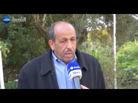 شاهد وفرة إنتاج البطاطا في الجزائر يربك الفلاحين من كساد وتلف منتوجهم