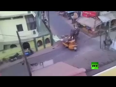 شاهد لحظة غضب الفيل نيلي