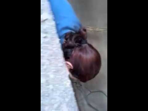 شاهد ماذا فعلت فتاة لتنقذ قطة