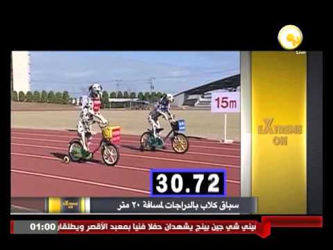 شاهد سباق كلاب بالدراجات لمسافة 20 مترًا