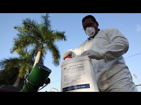 منظمة الصحة العالمية تؤكد أن فيروس زيكا قد يصيب أربعة ملايين شخص في الأميركيتين