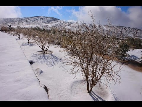 ثلوج وصقيع نادر فى دول الخليج