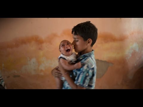 شاهد فيروس زيكا يثير مخاوف العالم وجهود كبيرة لاحتوائه