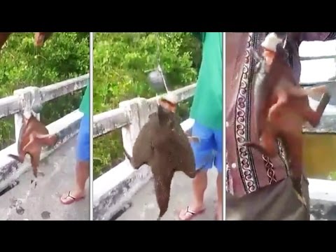 شاهد صياد تايلاندي يعثر على مخلوق غريب