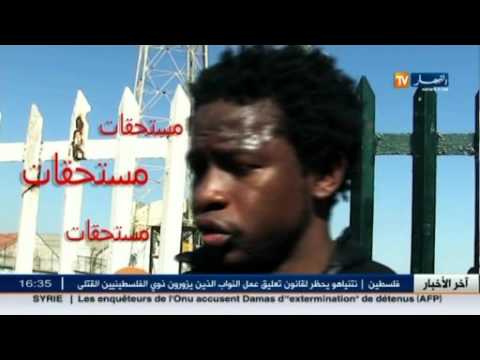 شاهد آخر أخبار الخضر و البطولة الوطنية