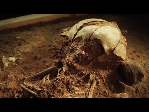 العثور على هيكل عظمى عمره 8400 عام